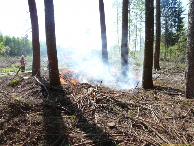 20160508_Kleiner_Waldbrand_2